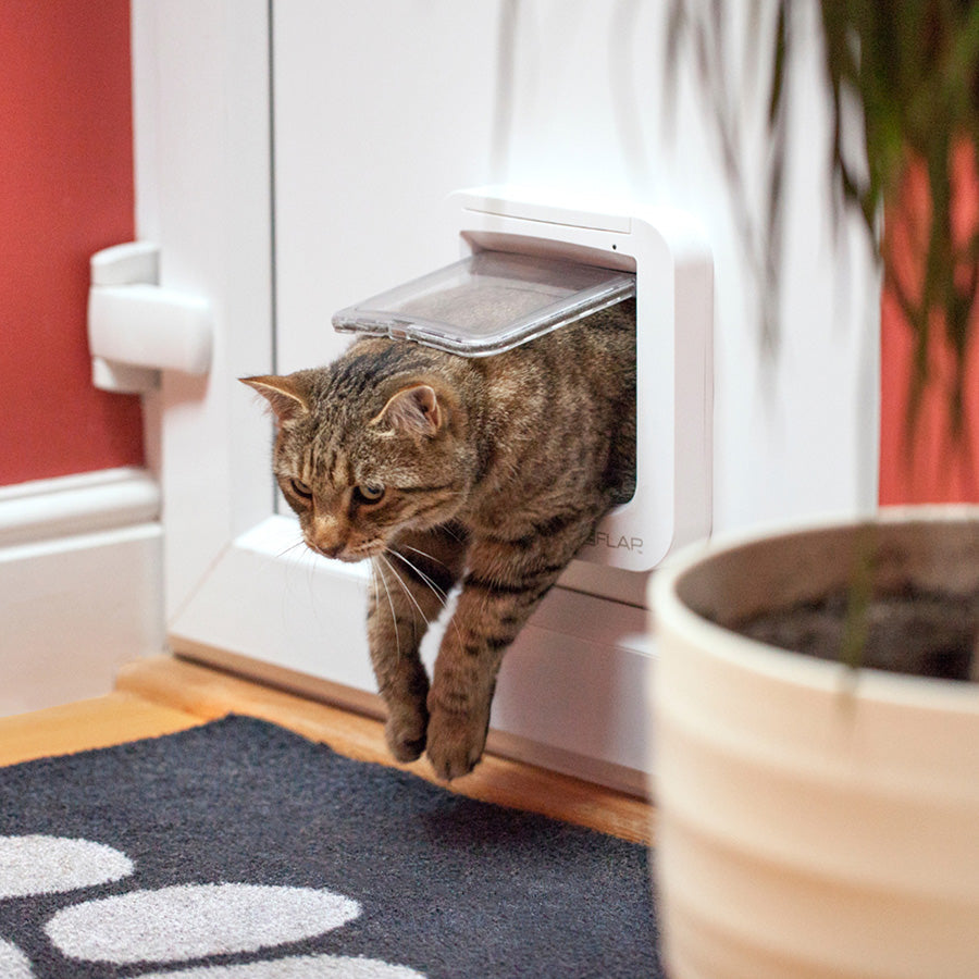 SureFlap Microchip Cat Flap – White Small